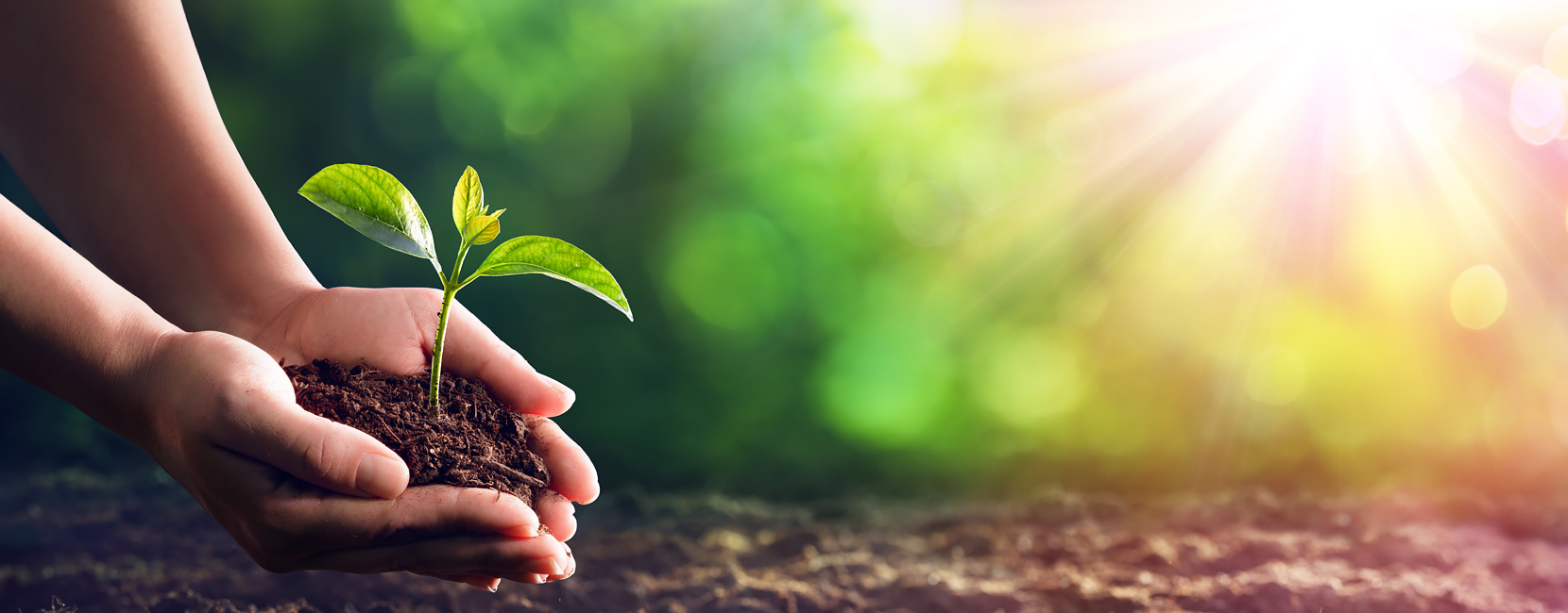 ��Ȧ- ��ȦΪ�Ķ���