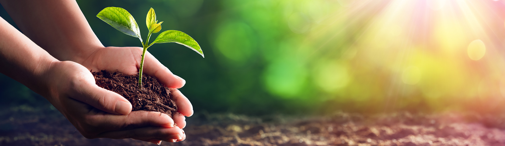 ��Ȧ- ��ȦΪ�Ķ���